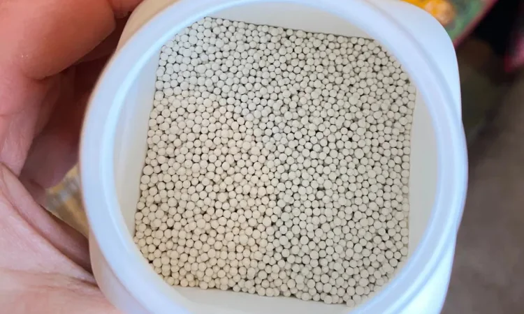 Берлей Насіння тютюну/ табака каліброване - фото № 1