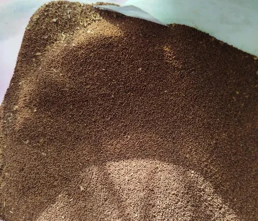 Продам насіння тютюну. - фото № 1