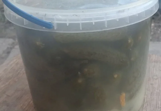 Продаж солоних огірків 2025 року - фото № 1