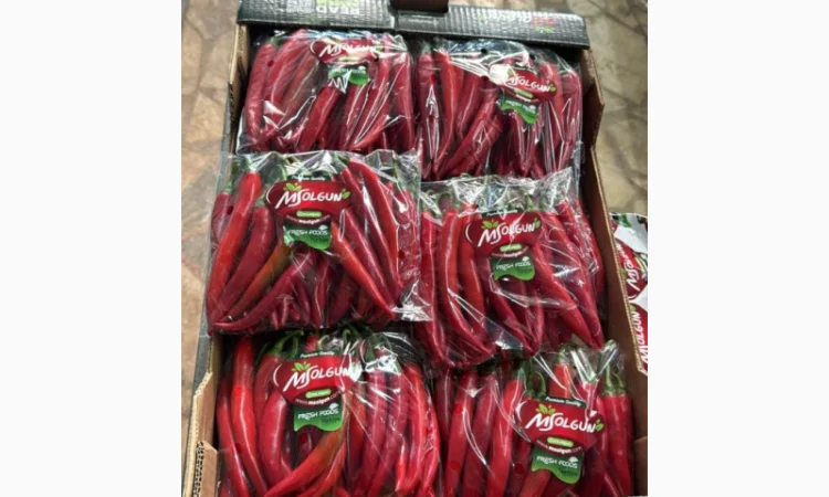 Огірки гуртом - фото № 5