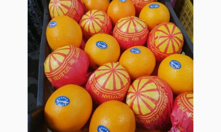 Продаю свіжі огірки - фото № 6