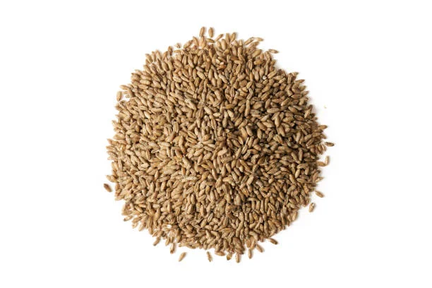 Продаж зерна тритикале 25 тонн - фото № 1