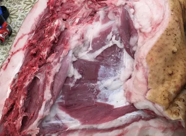 Домашняя свинина, мясо и сало на продажу - фото № 2