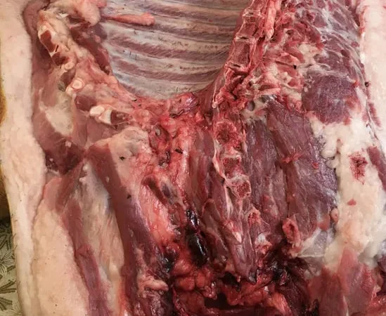 Домашняя свинина, мясо и сало на продажу - фото № 1