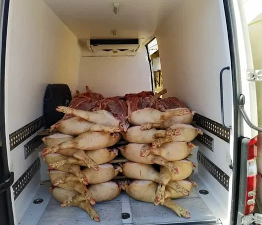 Свинина, туши и мясо на продажу - фото № 1