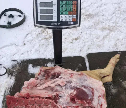 М‘ясо свинина - фото № 1