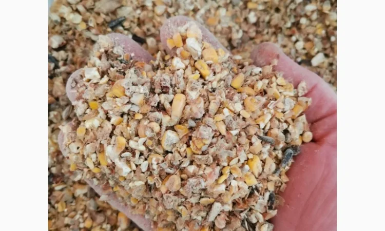 Зерновідходи кукурудзи на продажу - фото № 1