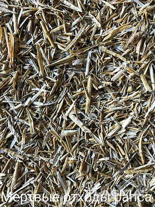 Покупка мертвых отходов подсолнечника и кукурузы - фото № 1