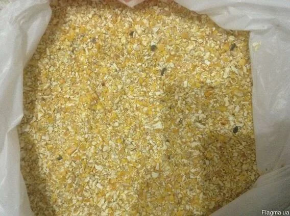 Куплю відходи кукурудзи за хорошою ціною - фото № 1