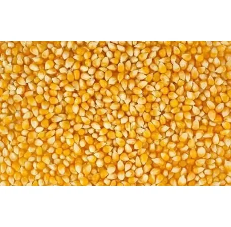 Відходи кукурудзи (половинки) для годування - фото № 1