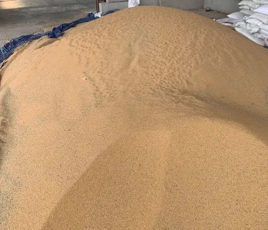 Корм для тварин: пшениця, овес, кукурудза, горох - фото № 1