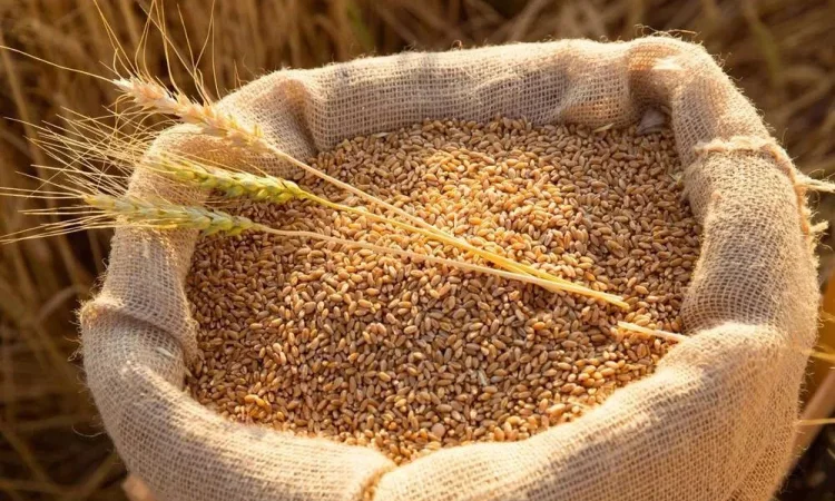 Продаж зернових: ячмінь, пшениця, овес кормовий - фото № 1