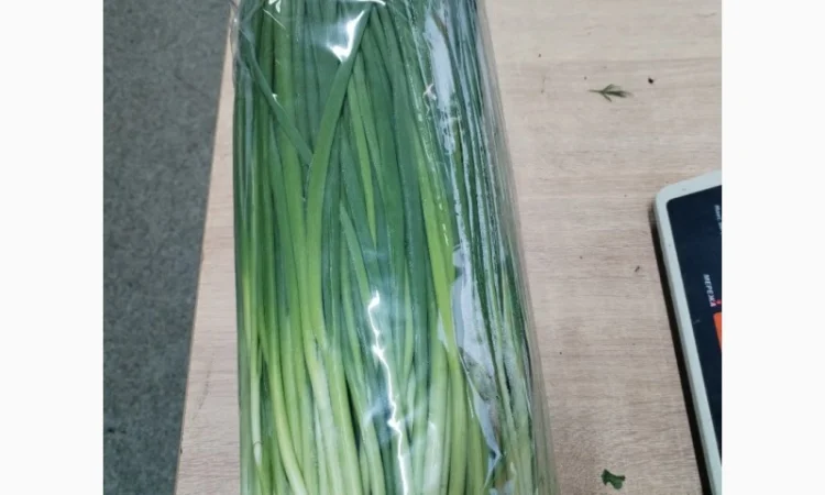 Продажа зелени: укроп, петрушка, лук зелёный - фото № 2