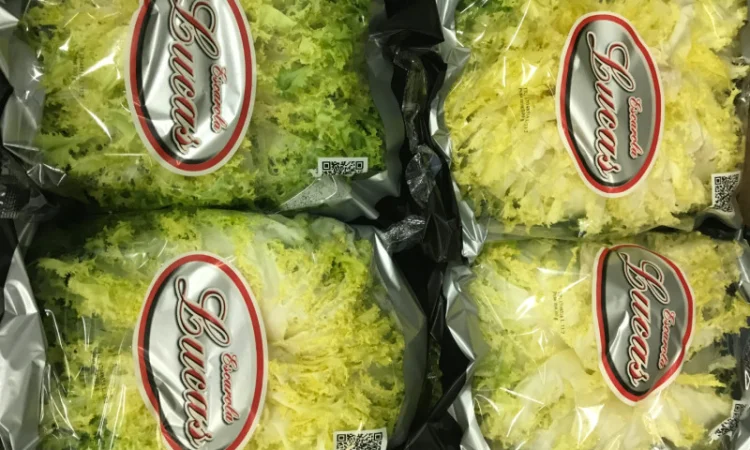 Салати з Іспанії на продаж - фото № 6