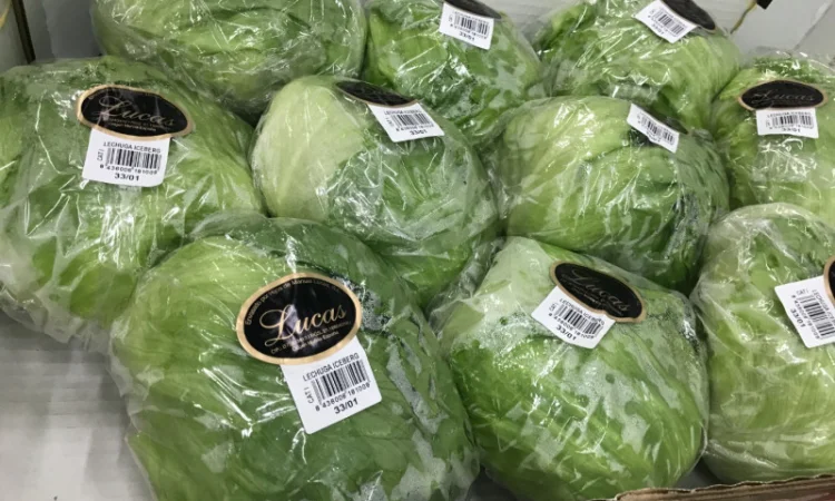 Салати з Іспанії на продаж - фото № 8