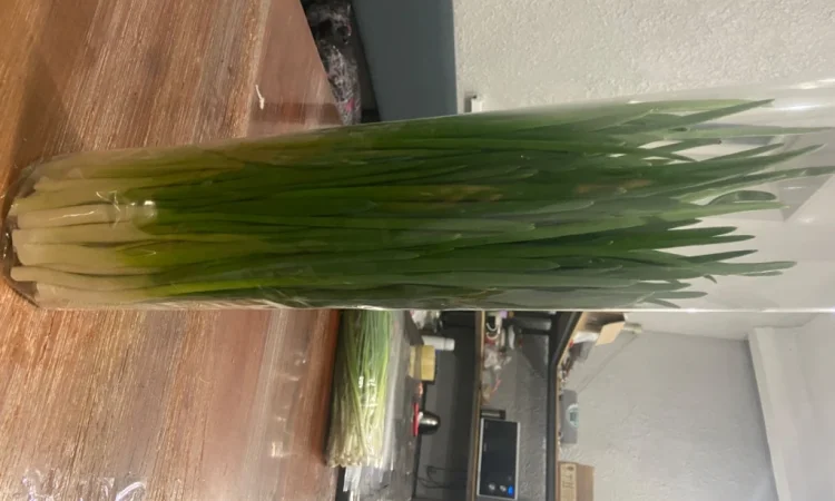 Продаж зеленої цибулі перо оптом - фото № 1