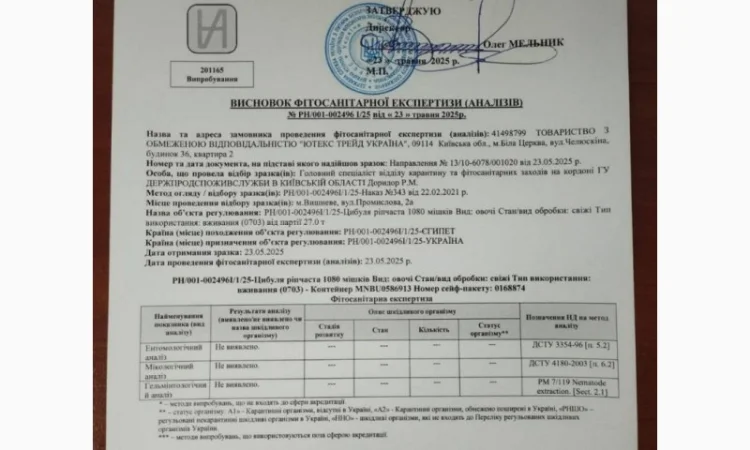 Продаж цибулі перо для вирощування - фото № 1