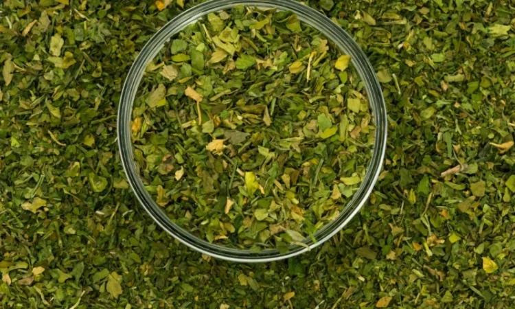 Петрушка сушена 500 г - фото № 1