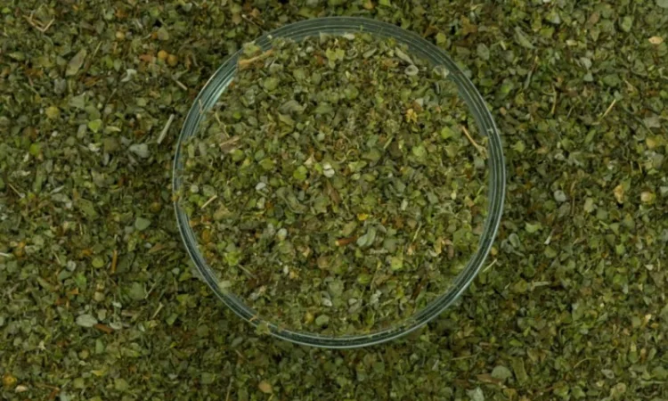 Майоран 500 г на продаж - фото № 1