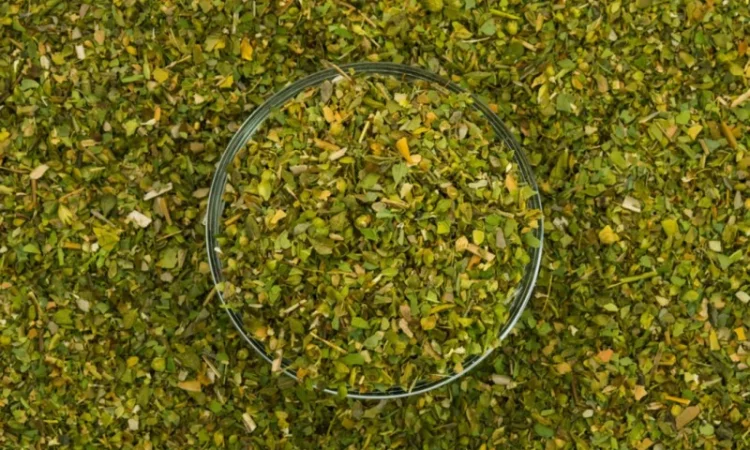 Продаю Орегано 500 г - фото № 1