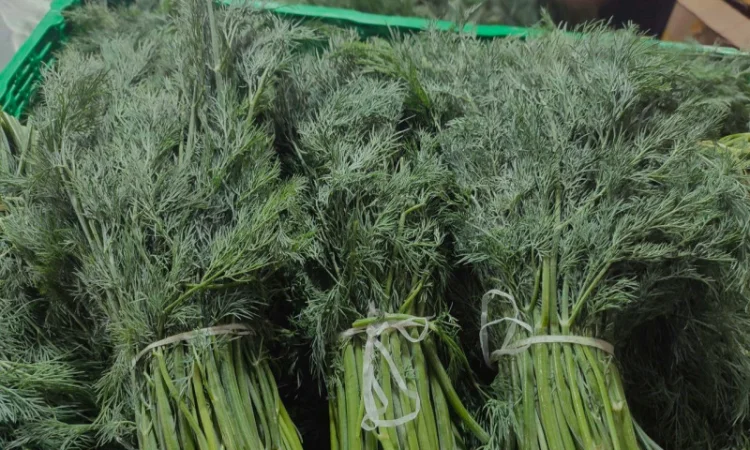 Пропозиція: зелень на продажу - фото № 1