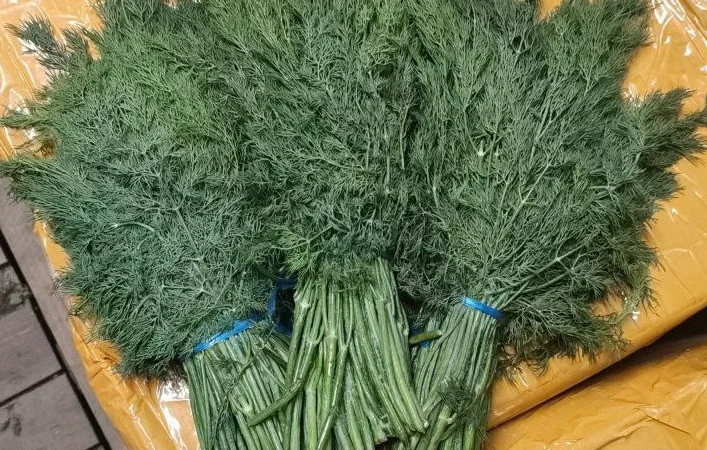 Пропозиція: зелень на продажу - фото № 3