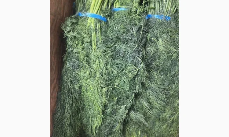 Продаж кріпа та петрушки - фото № 1