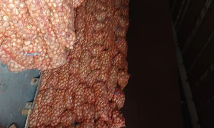 Продаж лука Штудгарт на перо - фото № 1