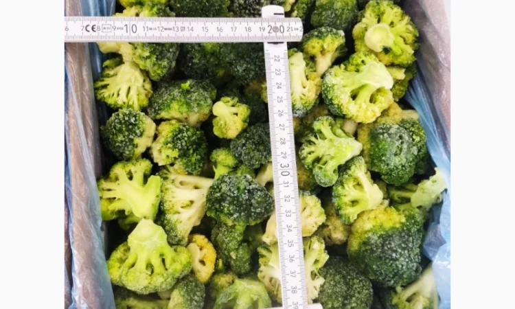 Продается замороженная капуста брокколи – 22 тонны - фото № 1