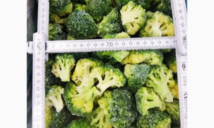 Продается замороженная капуста брокколи – 22 тонны - фото № 3