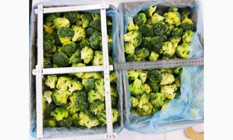 Продается замороженная капуста брокколи – 22 тонны - фото № 4