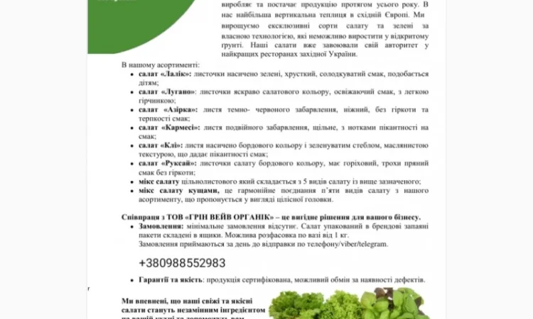 Свіжі сорти салату на продаж - фото № 1
