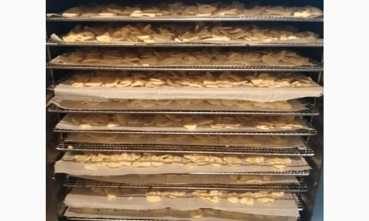 Сушеный чеснок на продажу - фото № 4