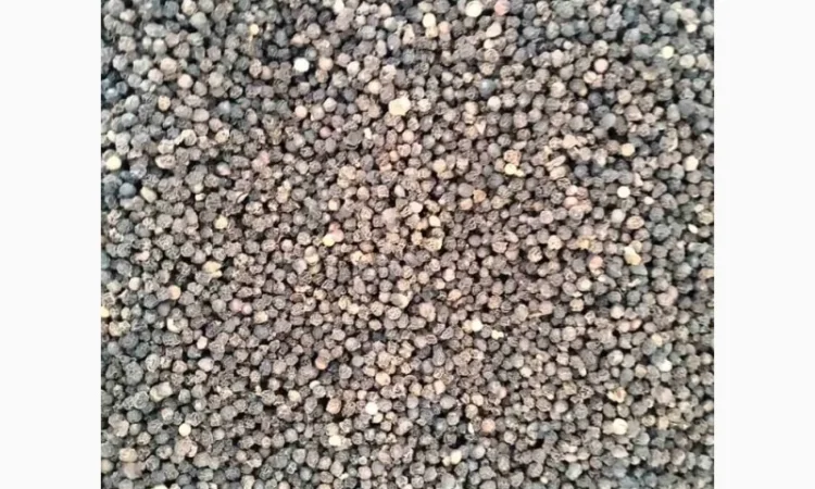 Перець вищого гатунку Вʼєтнам оптом - фото № 2