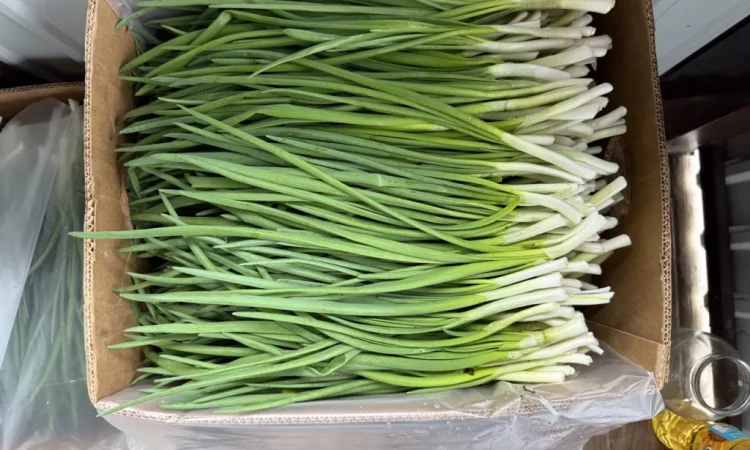 Свіжа зелена цибуля на продаж - фото № 7