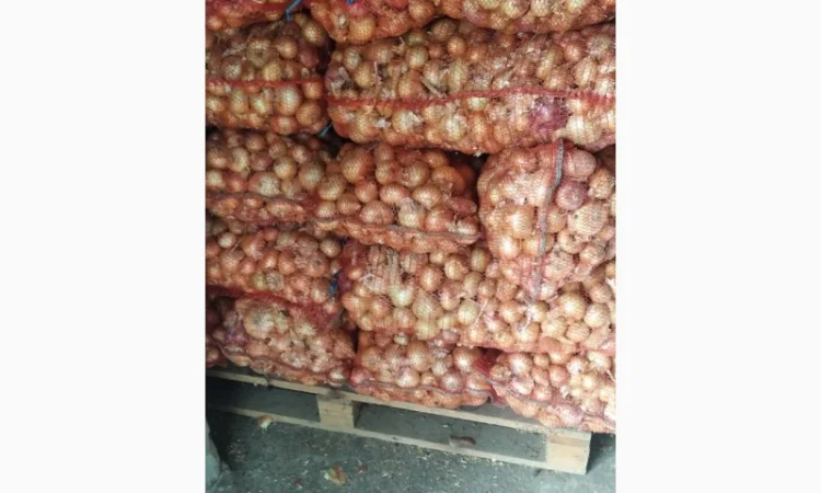 Цибуля штутгарт на зелене перо для продажи - фото № 1