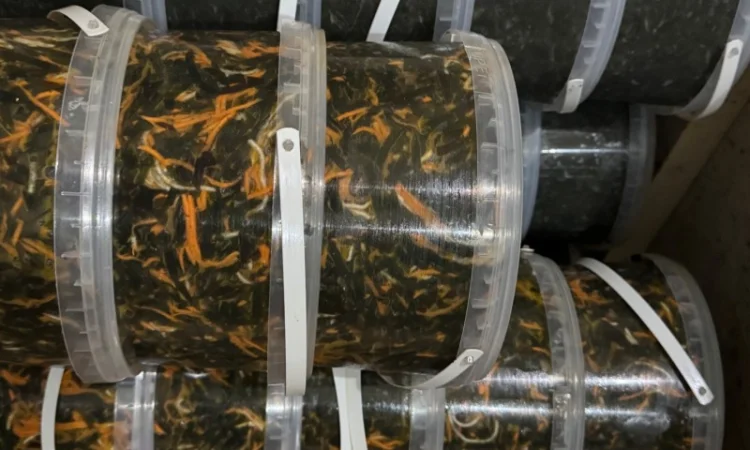 Продажа солений и корейских салатов - фото № 10