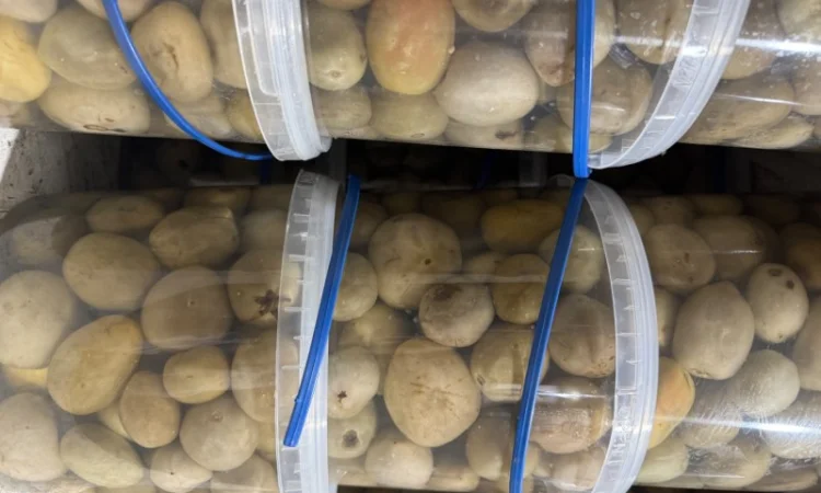 Продажа солений и корейских салатов - фото № 6