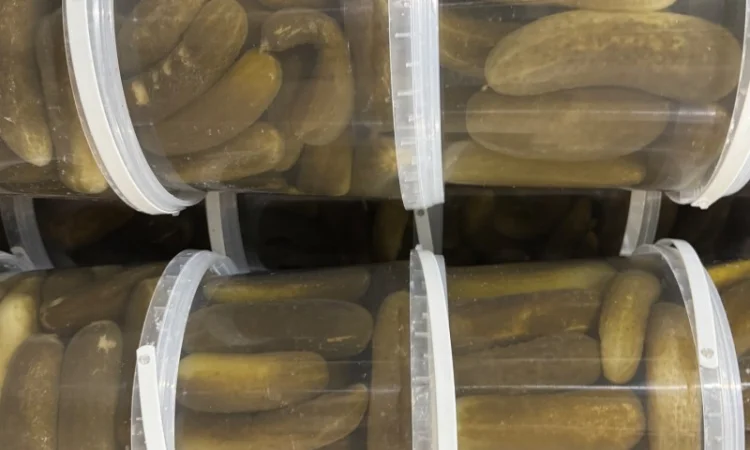 Продажа солений и корейских салатов - фото № 7