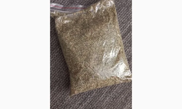 Продаж чабрець (тим'ян) оптом - фото № 3