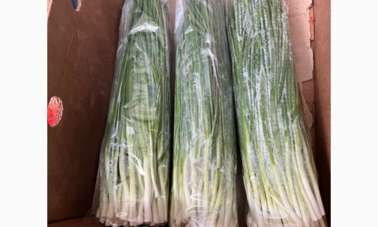 Продажа зеленой цибулі (перо) с договорной ценой - фото № 1