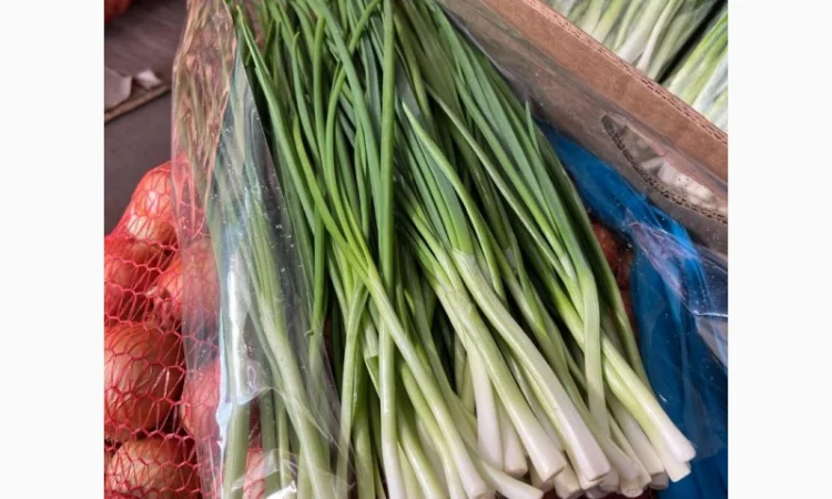 Продажа зеленой цибулі (перо) с договорной ценой - фото № 3