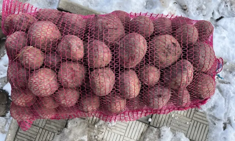 Продам буряк - фото № 1