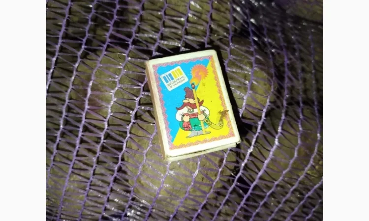 Покупка буряка столового на постоянной основе - фото № 2