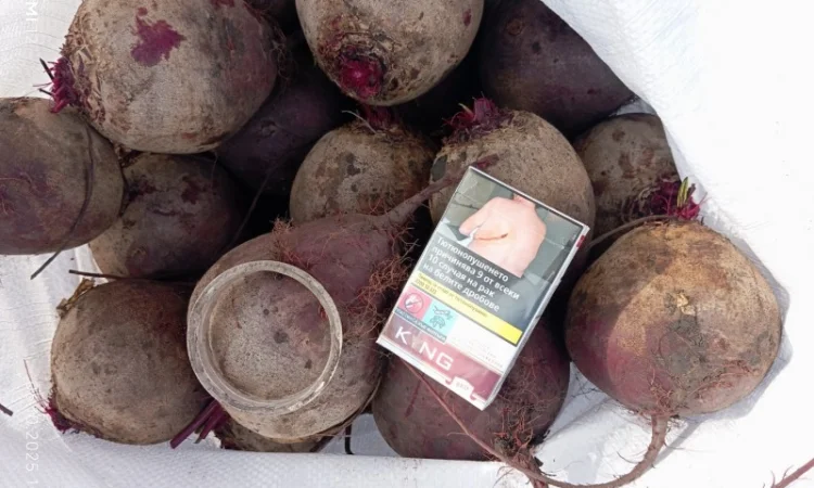 Продаж буряка столового Монті - фото № 2