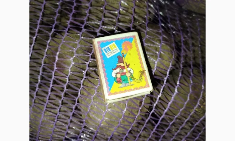 Продажа буряк Детройт - фото № 1