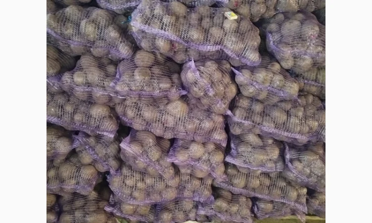 Продажа буряк Детройт - фото № 2