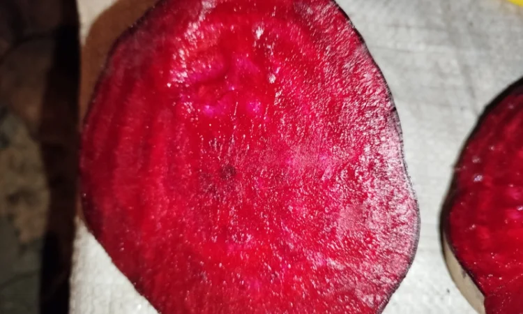 Продажа буряк Детройт - фото № 5