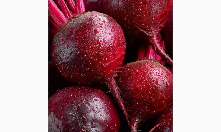 Покупка буряка в больших объемах - фото № 1