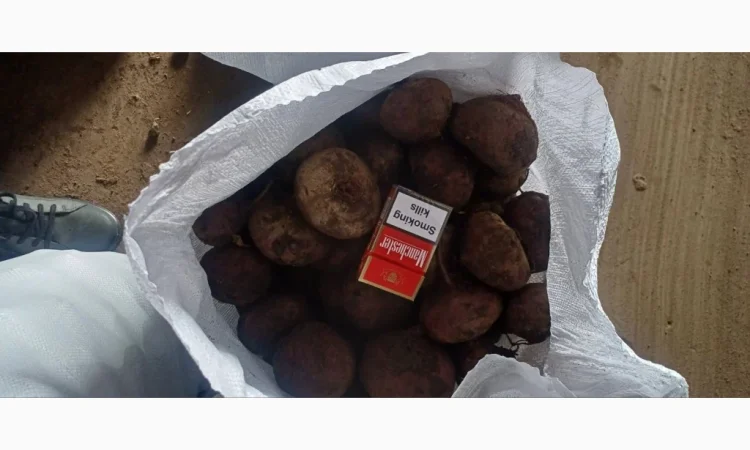 Продаж буряка сорту Пабло - фото № 1